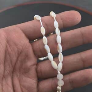 تسبیح صدف 33 دانه طبیعی - Image 4